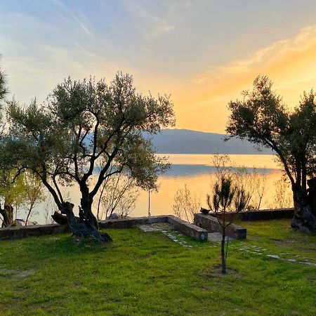 Seafront Traditional Stone House In Sunset Olive Grove - B Alyfanta 외부 사진