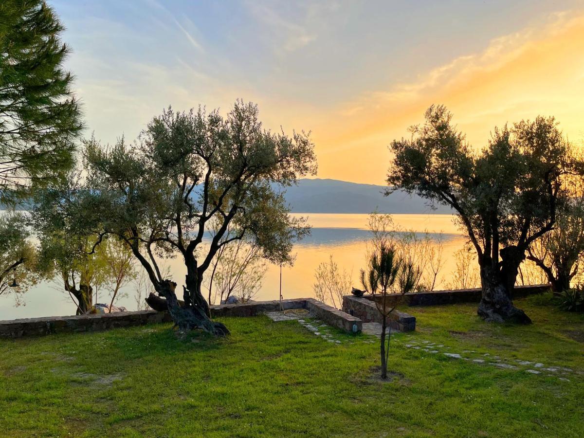 Seafront Traditional Stone House In Sunset Olive Grove - B Alyfanta 외부 사진