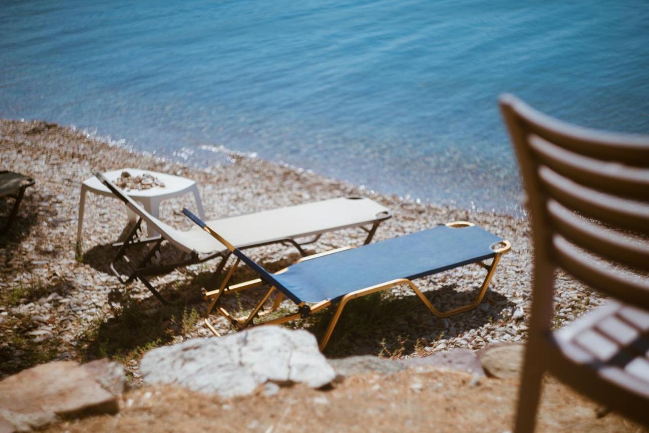 Seafront Traditional Stone House In Sunset Olive Grove - B Alyfanta 외부 사진