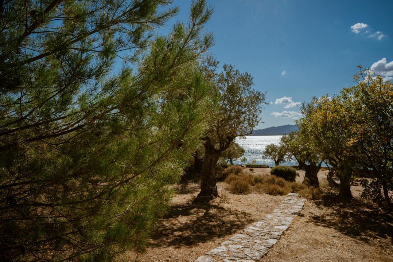 Seafront Traditional Stone House In Sunset Olive Grove - B Alyfanta 외부 사진